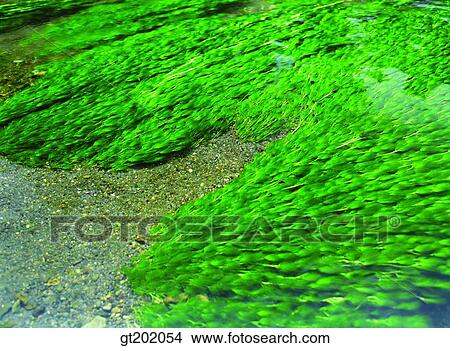 outdoor, exterior, day, daytime, daylight, nature, water View Large Photo Image Picture - outdoor, exterior, day, daytime, daylight, nature, water. Fotosearch