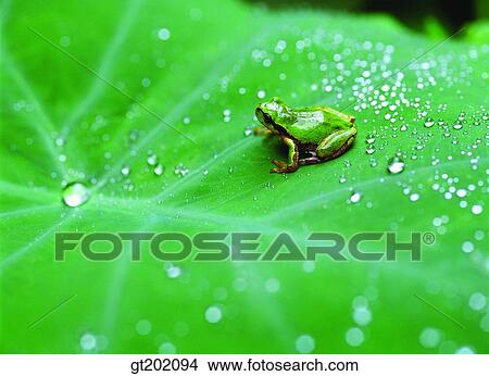 outdoor, exterior, day, daytime, daylight, nature, spring View Large Photo Image Picture - outdoor, exterior, day, daytime, daylight, nature, spring. Fotosearch