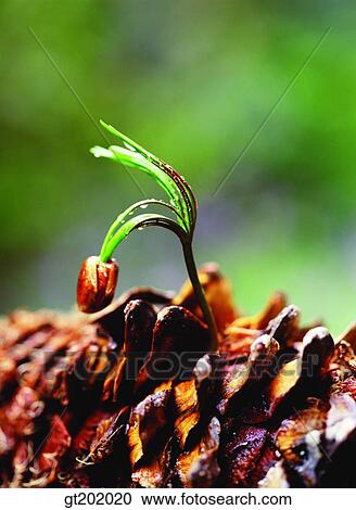 Stock Image - outdoor, exterior, day, daytime, daylight, nature, spring. Fotosearch