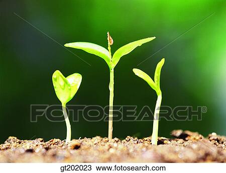 outdoor, exterior, day, daytime, daylight, nature, spring View Large Photo Image Stock Image - outdoor, exterior, day, daytime, daylight, nature, spring. Fotosearch