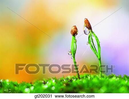 outdoor, exterior, day, daytime, daylight, nature, spring View Large Photo Image Stock Image - outdoor, exterior, day, daytime, daylight, nature, spring. Fotosearch