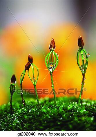 outdoor, exterior, day, daytime, daylight, nature, spring View Large Photo Image Stock Image - outdoor, exterior, day, daytime, daylight, nature, spring. Fotosearch