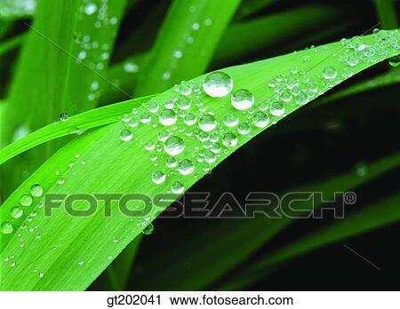 outdoor, exterior, day, daytime, daylight, nature, plant View Large Photo Image Stock Image - outdoor, exterior, day, daytime, daylight, nature, plant. Fotosearch