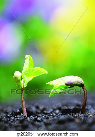 outdoor, exterior, day, daytime, daylight, nature, spring View Large Photo Image Stock Image - outdoor, exterior, day, daytime, daylight, nature, spring. Fotosearch