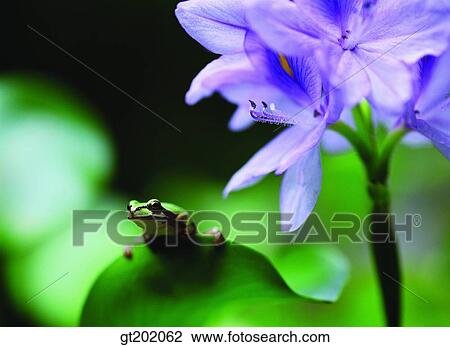 outdoor, exterior, day, daytime, daylight, nature, spring View Large Photo Image Stock Image - outdoor, exterior, day, daytime, daylight, nature, spring. Fotosearch
