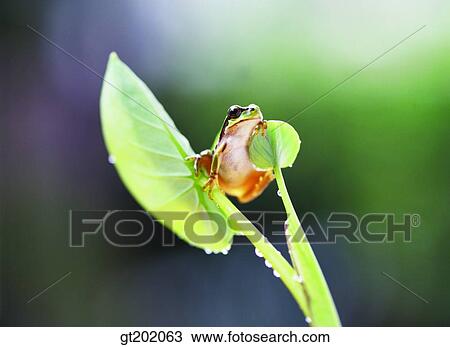outdoor, exterior, day, daytime, daylight, nature, spring View Large Photo Image Stock Image - outdoor, exterior, day, daytime, daylight, nature, spring. Fotosearch