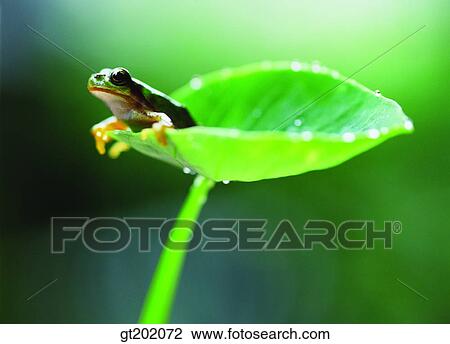 outdoor, exterior, day, daytime, daylight, nature, spring View Large Photo Image Stock Image - outdoor, exterior, day, daytime, daylight, nature, spring. Fotosearch
