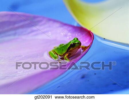 outdoor, exterior, day, daytime, daylight, nature, spring View Large Photo Image Stock Image - outdoor, exterior, day, daytime, daylight, nature, spring. Fotosearch