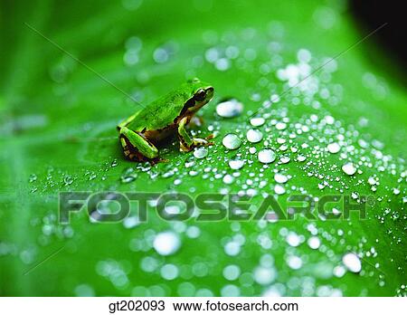 outdoor, exterior, day, daytime, daylight, nature, spring View Large Photo Image Stock Image - outdoor, exterior, day, daytime, daylight, nature, spring. Fotosearch