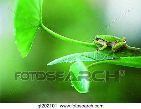 outdoor, exterior, day, daytime, daylight, nature, spring View Large Photo Image Stock Image - outdoor, exterior, day, daytime, daylight, nature, spring. Fotosearch