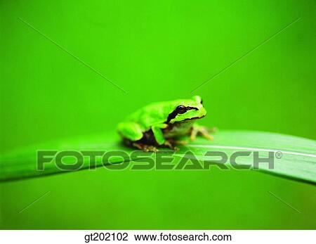 outdoor, exterior, day, daytime, daylight, nature, spring View Large Photo Image Stock Image - outdoor, exterior, day, daytime, daylight, nature, spring. Fotosearch
