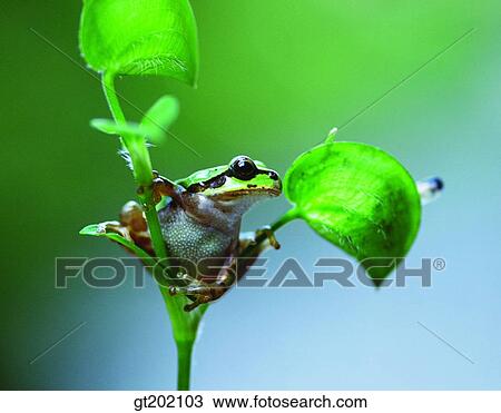 outdoor, exterior, day, daytime, daylight, nature, spring View Large Photo Image Stock Image - outdoor, exterior, day, daytime, daylight, nature, spring. Fotosearch