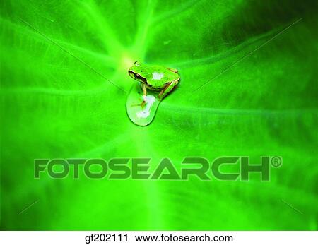 outdoor, exterior, day, daytime, daylight, nature, spring View Large Photo Image Stock Image - outdoor, exterior, day, daytime, daylight, nature, spring. Fotosearch