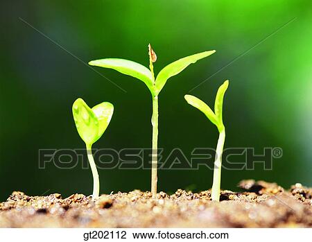 outdoor, exterior, day, daytime, daylight, nature, spring View Large Photo Image Stock Image - outdoor, exterior, day, daytime, daylight, nature, spring. Fotosearch