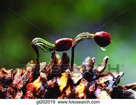 outdoor, exterior, day, daytime, daylight, nature, spring View Large Photo Image Stock Photo - outdoor, exterior, day, daytime, daylight, nature, spring. Fotosearch