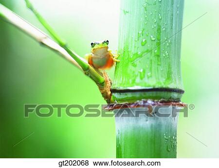 outdoor, exterior, day, daytime, daylight, nature, spring View Large Photo Image Stock Photo - outdoor, exterior, day, daytime, daylight, nature, spring. Fotosearch