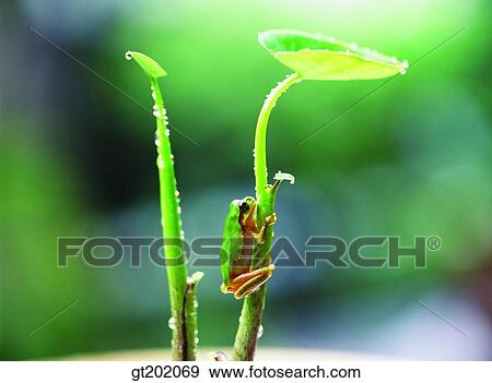 outdoor, exterior, day, daytime, daylight, nature, spring View Large Photo Image Stock Photo - outdoor, exterior, day, daytime, daylight, nature, spring. Fotosearch