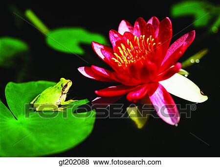 Stock Photo - outdoor, exterior, day, daytime, daylight, nature, spring. Fotosearch