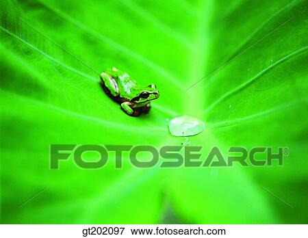 outdoor, exterior, day, daytime, daylight, nature, spring View Large Photo Image Stock Photo - outdoor, exterior, day, daytime, daylight, nature, spring. Fotosearch