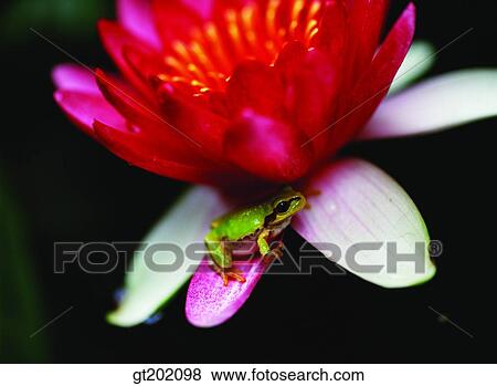 outdoor, exterior, day, daytime, daylight, nature, spring View Large Photo Image Stock Photo - outdoor, exterior, day, daytime, daylight, nature, spring. Fotosearch