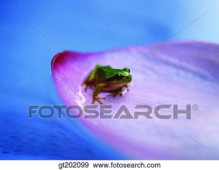 outdoor, exterior, day, daytime, daylight, nature, spring View Large Photo Image Stock Photo - outdoor, exterior, day, daytime, daylight, nature, spring. Fotosearch