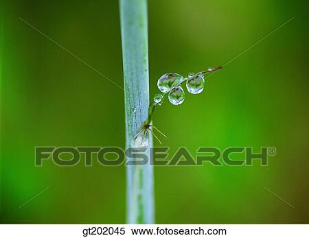 outdoor, exterior, day, daytime, daylight, nature, branch View Large Photo Image Stock Photography - outdoor, exterior, day, daytime, daylight, nature, branch. Fotosearch