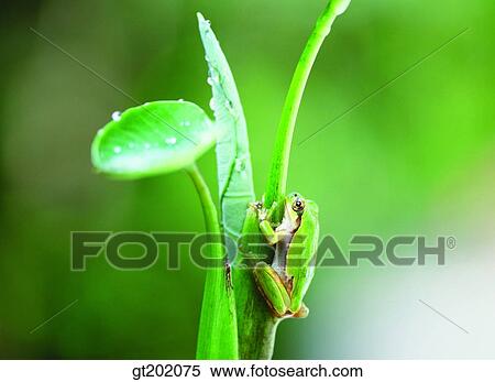 outdoor, exterior, day, daytime, daylight, nature, spring View Large Photo Image Stock Photography - outdoor, exterior, day, daytime, daylight, nature, spring. Fotosearch