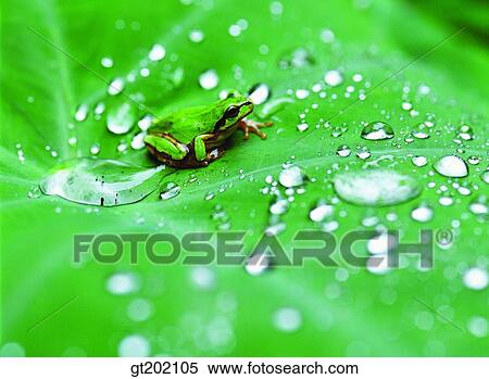 outdoor, exterior, day, daytime, daylight, nature, spring View Large Photo Image Stock Photography - outdoor, exterior, day, daytime, daylight, nature, spring. Fotosearch