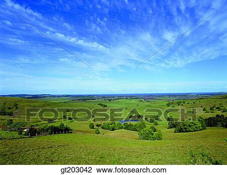 牧草地 芝生 草 地平線 空 雲 雲 ストックイメージ Gt3042 Fotosearch