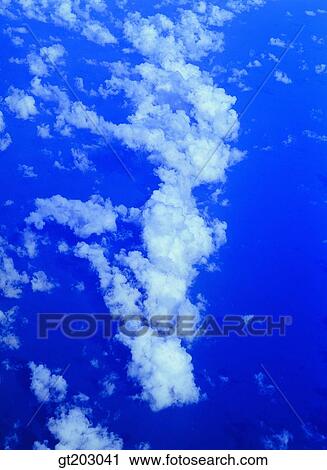 cloud, clouds, white cloud, sky, outdoor, exterior View Large Photo Image Stock Image - cloud, clouds, white cloud, sky, outdoor, exterior. Fotosearch