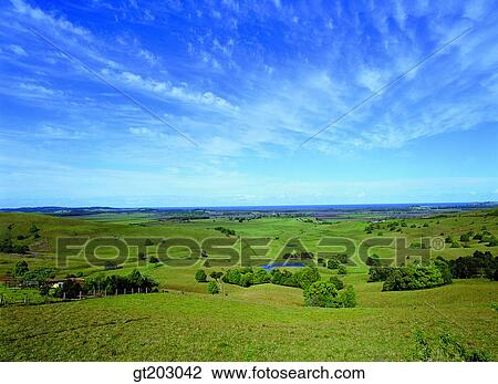 grassland, lawn, grass, horizon, sky, cloud, clouds View Large Photo Image Stock Image - grassland, lawn, grass, horizon, sky, cloud, clouds. Fotosearch
