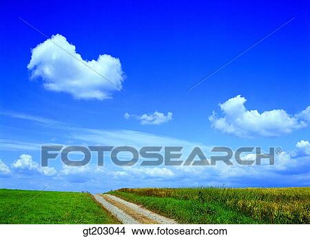 road, street, route, highway, field, plain, sky View Large Photo Image Picture - road, street, route, highway, field, plain, sky. Fotosearch