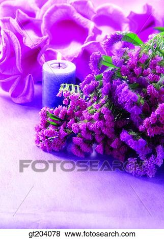 flower, bouquet, candle, candle light, fancy goods, goods, fancy View Large Photo Image Stock Photo - flower, bouquet, candle, candle light, fancy goods, goods, fancy. Fotosearch
