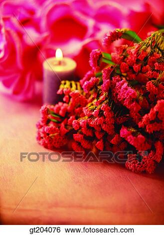 flower, bouquet, candle, candle light, fancy goods, goods, fancy View Large Photo Image Stock Photograph - flower, bouquet, candle, candle light, fancy goods, goods, fancy. Fotosearch