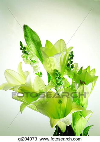 Stock Image - flower, bouquet, lily, fancy goods, goods, fancy, decoration. Fotosearch
