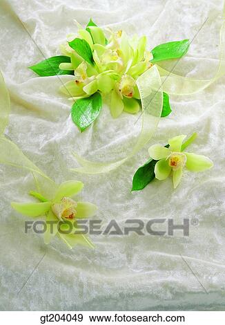 flower, bouquet, ribbon, cloths, cloth, fabric, fancy goods View Large Photo Image Stock Photo - flower, bouquet, ribbon, cloths, cloth, fabric, fancy goods. Fotosearch
