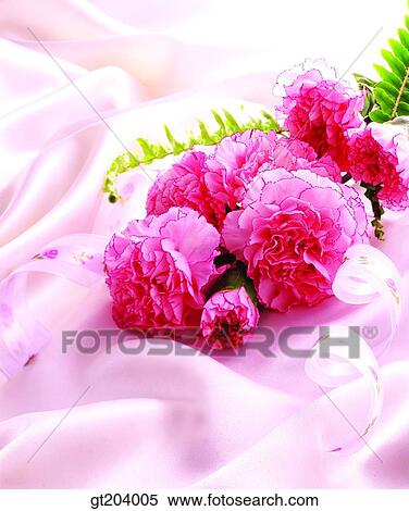 flower, carnation, Carnation, cloths, cloth, fabric, fancy goods View Large Photo Image Stock Photography - flower, carnation, Carnation, cloths, cloth, fabric, fancy goods. Fotosearch