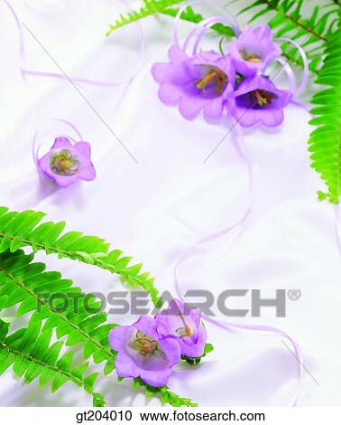 Stock Image - flower, cloths, cloth, fabric, fancy goods, goods, fancy. Fotosearch