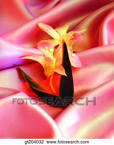 flower, cloths, cloth, fabric, fancy goods, goods, fancy View Large Photo Image Stock Image - flower, cloths, cloth, fabric, fancy goods, goods, fancy. Fotosearch