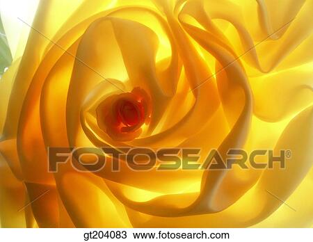 flower, cloths, cloth, fabric, fancy goods, goods, fancy View Large Photo Image Stock Image - flower, cloths, cloth, fabric, fancy goods, goods, fancy. Fotosearch