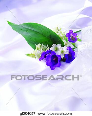 flower, cloths, cloth, fabric, fancy goods, goods, fancy View Large Photo Image Stock Photo - flower, cloths, cloth, fabric, fancy goods, goods, fancy. Fotosearch