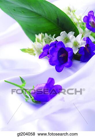 flower, cloths, cloth, fabric, fancy goods, goods, fancy View Large Photo Image Stock Photo - flower, cloths, cloth, fabric, fancy goods, goods, fancy. Fotosearch