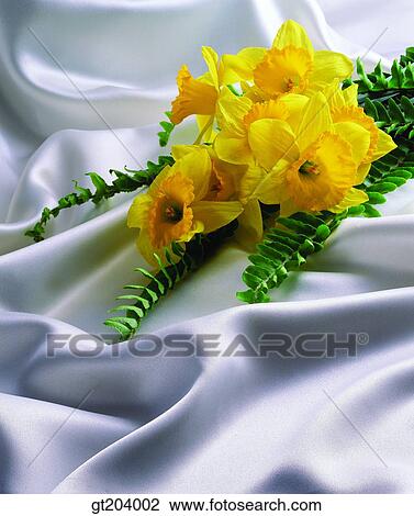 flower, daffodil, narcissus, bouquet, cloths, cloth, fabric View Large Photo Image Stock Image - flower, daffodil, narcissus, bouquet, cloths, cloth, fabric. Fotosearch
