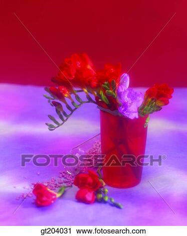Stock Image - flower, glass, freesia, Freesia, vase, fancy goods, goods. Fotosearch