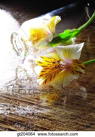 Picture - flower, glass, leaf, leaves, fancy goods, goods, fancy. Fotosearch