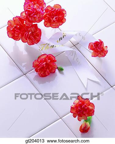 Stock Image - flower, leaf, leaves, carnation, Carnation, ribbon, tile. Fotosearch