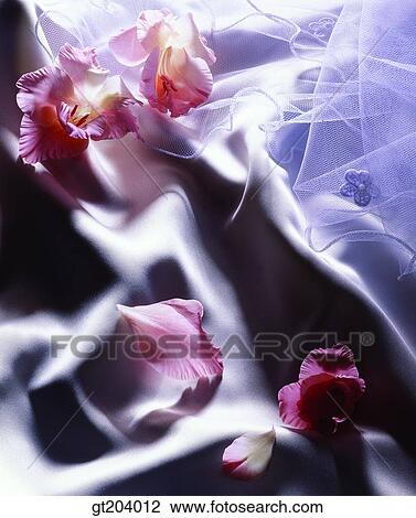 flower, leaf, leaves, cloths, cloth, fabric, fancy goods View Large Photo Image Stock Image - flower, leaf, leaves, cloths, cloth, fabric, fancy goods. Fotosearch