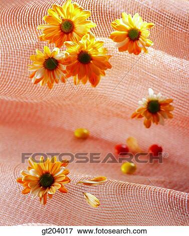 Stock Photo - flower, leaf, leaves, cloths, cloth, fabric, gauze. Fotosearch