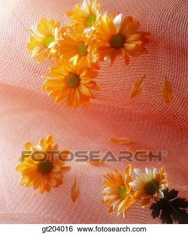 Stock Photograph - flower, leaf, leaves, cloths, cloth, fabric, gauze. Fotosearch