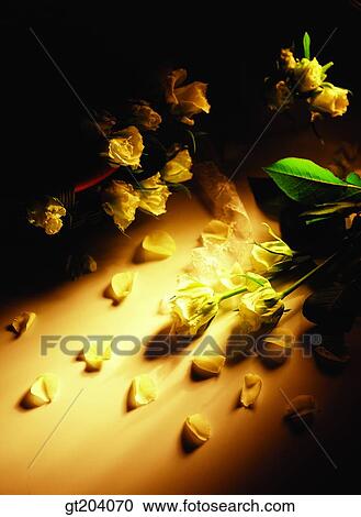 flower, leaf, leaves, fancy goods, goods, fancy, decoration View Large Photo Image Stock Image - flower, leaf, leaves, fancy goods, goods, fancy, decoration. Fotosearch